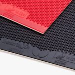 IMPARTIALXBbutterfly